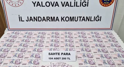 Sahte para operasyonu