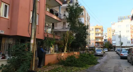 Ağaç kesmek isterken mahalleye bela oldu