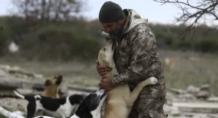 Dağdaki yüzlerce köpek her gün onun gelmesini sabırsızlıkla bekliyor