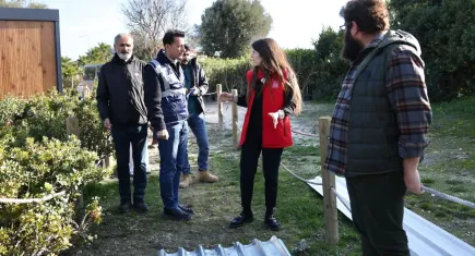 Çeşme’de sakız ağaçlarının hikayesi geleceğe taşınacak