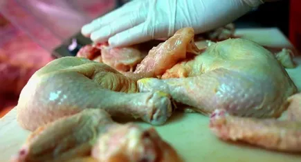 Dışarıdan yemeyi sevenlerin yeni fobisi: Salmonella