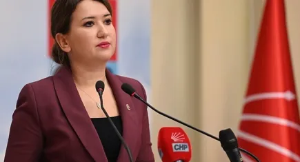 Avrupa Konseyi Parlamenter Meclisi’nde Gökçen, göçmen politikasını eleştirdi