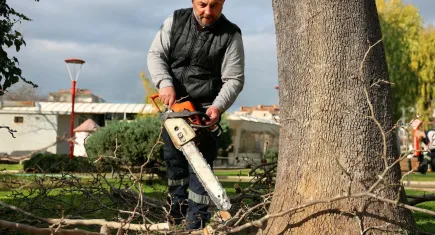 Bayraklı’da yeşil alanlar için çalışmalar sürüyor