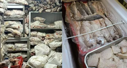 İzmir'de kaçak ve bozuk et ele geçirildi