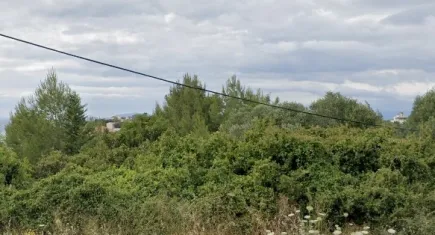 O belediyeden villalık arsa satışları