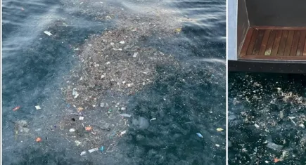 Deniz kirliliği vatandaşların tepkisine neden oldu
