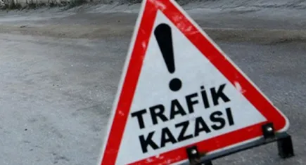 Aydın'da ölümlü kaza: Tır şarampole devrildi