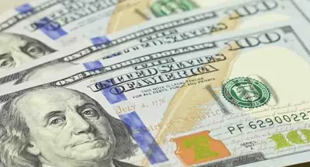 Merkez Bankası açıkladı: Aralık 2024'te 4,65 milyar dolar açık verildi