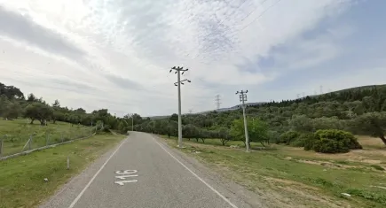 TMMOB Şehir Plancıları Odası İzmir Şubesi: Zeytinlik alanlarda talana izin vermeyeceğiz