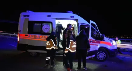 Manisa'da kaza: Araç üzüm bağına düştü