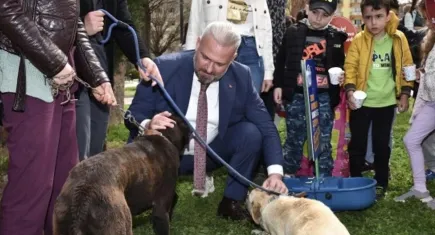 Pehlivan: Can dostlarımız için var gücümüzle çalışıyoruz