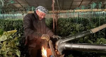 Antalyalı üreticilerden zirai don uyarısı