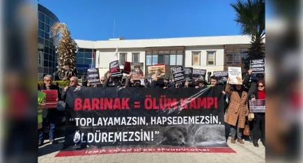 Menemen Belediyesi’nde hayvanlara yönelik şiddet protesto edildi