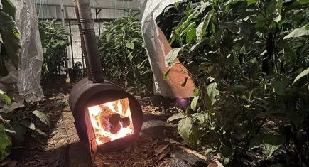 Meteoroloji uyardı: Eksi dereceli hava sıcaklığından zirai don olabilir!