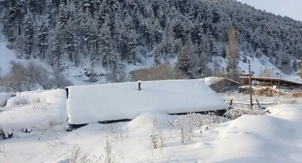 Doğu'da kar esareti: 448 köy ulaşıma kapandı!