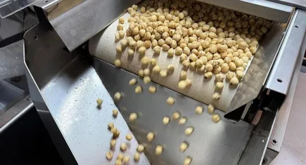 Ticaret borsalarında fındıkta 6 aylık gelişim