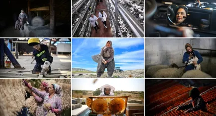 Türkiye nüfusunun yüzde kaçını kadınlar oluşturuyor?