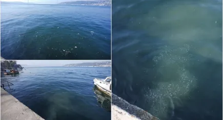 Kanalizasyon suyu denize akıyor!