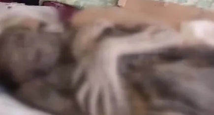 Orta Çağ döneminden kalma mumyayı satmaya çalışırken yakalandılar 