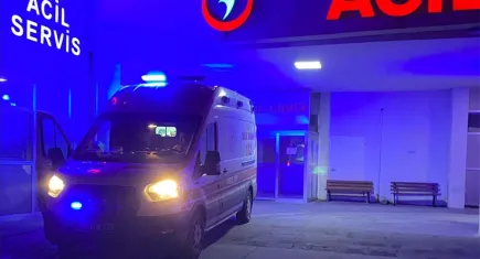 Bir sahipsiz köpek vakası daha: Sokakta oynarken hastanelik oldu