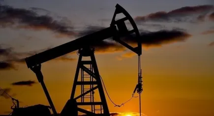 OPEC'in ham petrol üretimi şubatta yükseldi