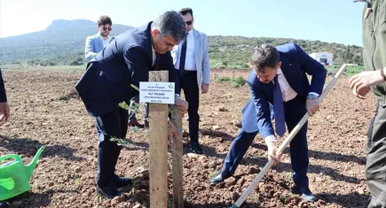 İzmir'de 4 bin fidan "Kökten Hayata" projesiyle toprakla buluştu