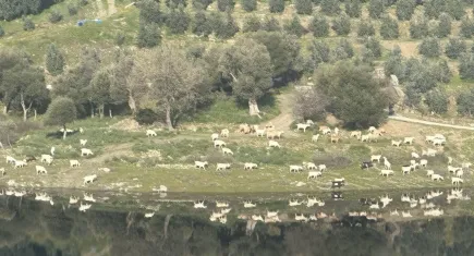 Soyer, çok sevinçli bir haberim var diyerek duyurdu