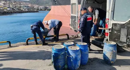 İzmir haber: İzmir'de kaçak avlanan deniz patlıcanları denize geri salındı