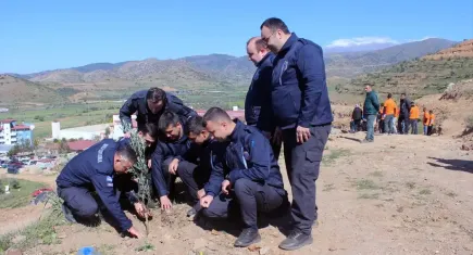 İzmir’de 4 bin zeytin fidanı dikildi