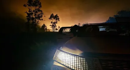 Büyük orman yangını: 2 bin kişi tahliye edildi!