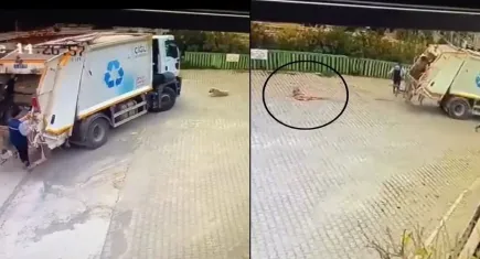 Çiğli’de sokak köpeğini ezen çöp kamyonu şoförüne soruşturma başlatıldı