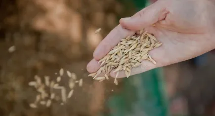 Buğday Ekolojik Yaşamı Destekleme Derneği’nden Mevsimsel Beslen Takvimi