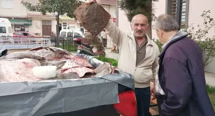 Kaçak avlanan balıklar vatandaşlara dağıtıldı