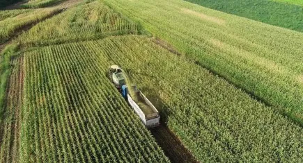 Kırsal Kalkınma Programı Yönetim Otoritesinin çalışma esaslarına düzenleme
