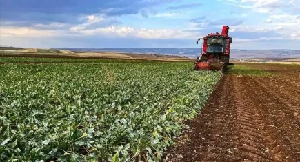 Çiftçiler dikkat: Tarımsal destek ödemeleri başlıyor