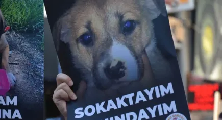 İzmir Barosu’ndan 4 Nisan açıklaması: Yaşam hakları hukukun güvencesidir 