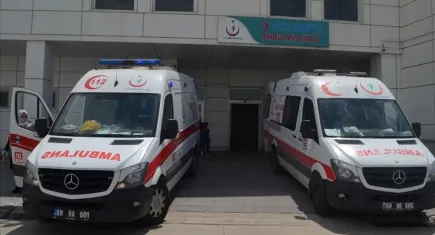 Sahipsiz köpek çocuğu yaraladı