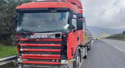 Aydın’daki ölümcül kazada tır sürücüsü serbest bırakıldı