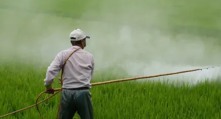 BUĞDAY Derneği’nden yeni broşür: Zehirsiz Sofralar Mümkün
