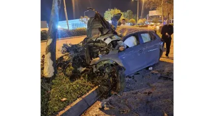 İzmir'de ağaca çarpan otomobilin sürücüsü hayatını kaybetti