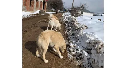 HAYTAP bu kez Edirne, Samsun ve İzmir için kolları sıvadı
