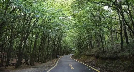 Muğla'da bazı bölgelerde ormanlık alanlara giriş yasağı uygulanacak