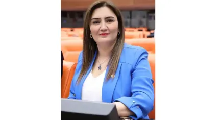 CHP İzmir Milletvekili Sevda Erdan Kılıç’tan Rabia Naz için adalet talebi 