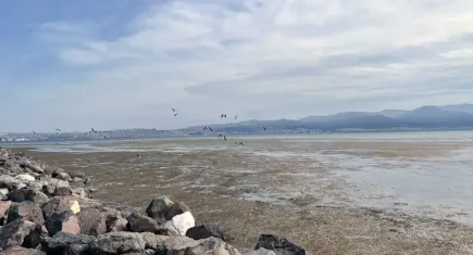 İzmir haber: Bostanlı sahilinde endişelendiren görüntü