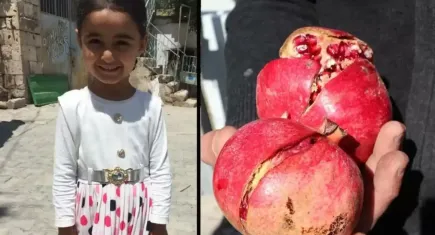 Minik Saliha için yıllar önce başlatılan kampanya yeniden gündem oldu 