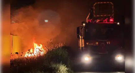 Manisa'da çıkan yangın İzmir'e sıçradı