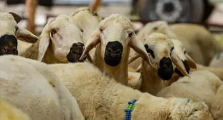 2025 Kurban Bayramı düzenlemesi Resmi Gazete’de: Kurallara uymayana ceza yağacak!