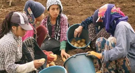 İSİG Meclisi Genel Koordinatörü Murat Çakır: Artık MESEM'in de ötesinde çocuk işçilik çok daha yaygın