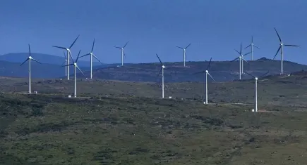 Ege'nin rüzgar güllerinden 2,5 milyon hanelik temiz enerji