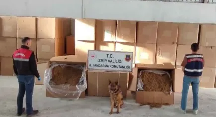 Menderes'te kaçak tütün operasyonu